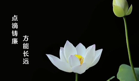 足球博彩平台